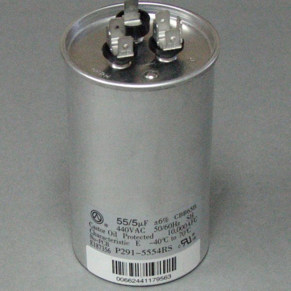 CAPACITOR